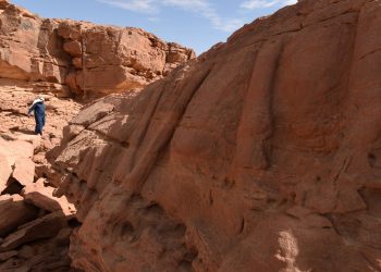 Ukiran Unta di Gurun Saudi Berasal dari 7.000 Tahun yang Lalu