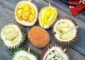 Buah Lai vs Durian, Pilih Mana?