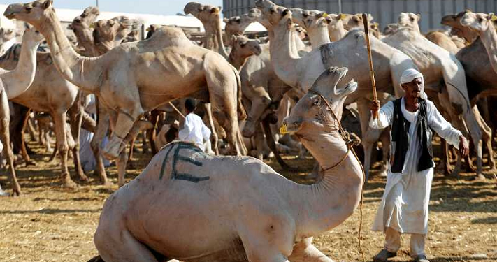 Kisah Zaid Al-Khair Saat Jahiliyah (4)