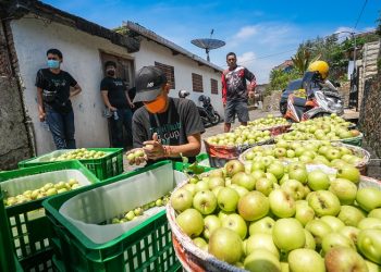 TaniHub Group Gelar Taniversary, Penanda Lima Tahun Melayani Pertanian Indonesia
