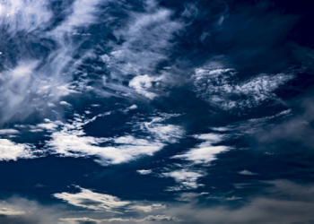 Abu Sufyan bin Harits Mengejar Ketertinggalan