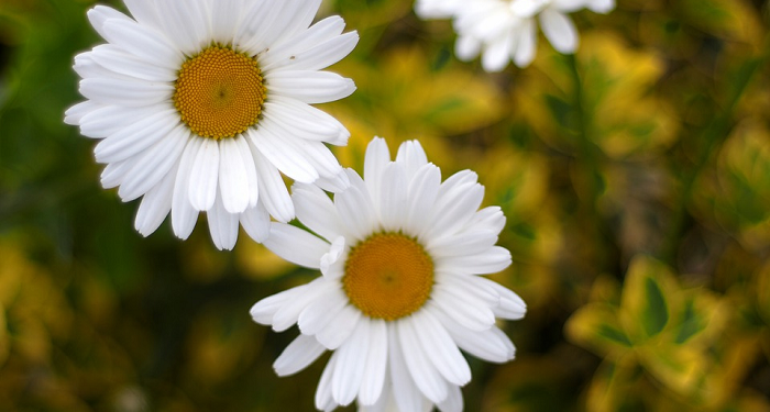 Bertawassul kepada Allah dengan Kesucian Diri