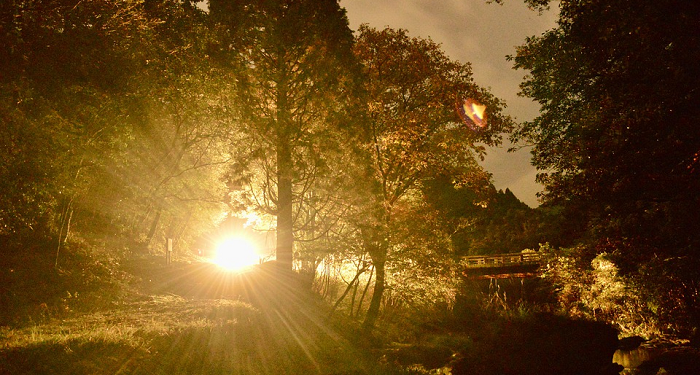 Cahaya di atas Cahaya - Tadabbur Surat An-Nur (Bag-2)