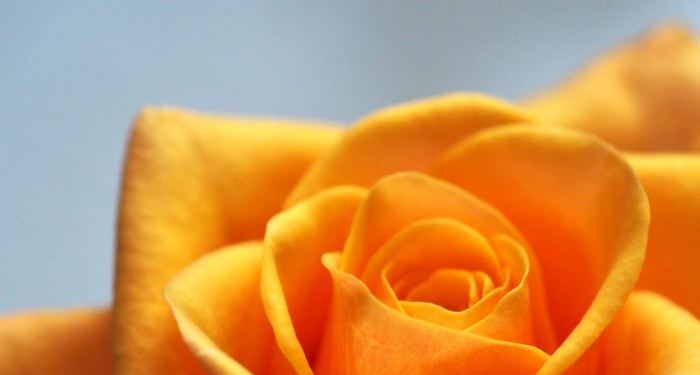 Fakta Zaid bin Tsabit yang Jarang Diketahui