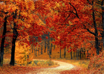 Jangan Ingkar Janji kepada Anak Kecil