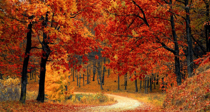 Jangan Ingkar Janji kepada Anak Kecil