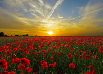 Jangan Ingkar Janji kepada Anak Kecil