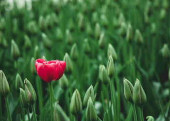 Doa untuk Mengatasi Insecure