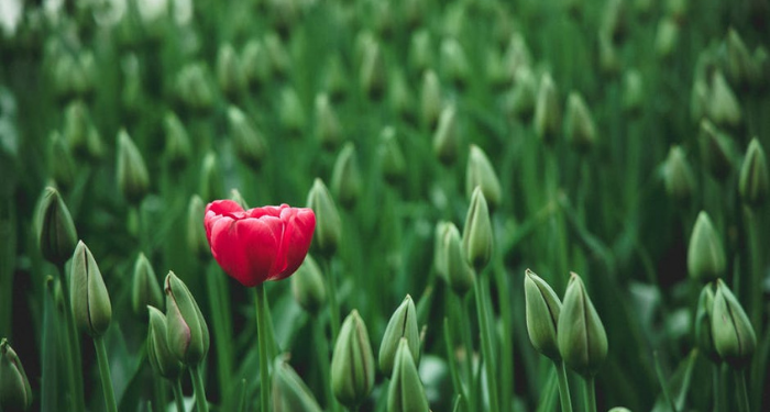 Doa untuk Mengatasi Insecure