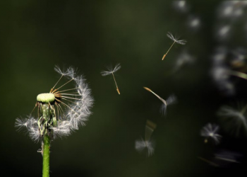 Strategi Efektif Tekan Angka Perokok Pemula