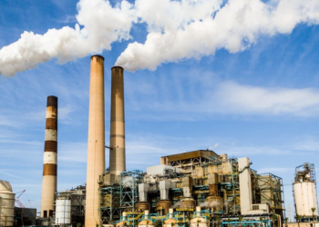 Foto: Pexels/Pixabay