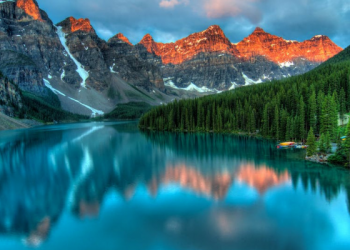 Foto: Pexels/James Wheeler