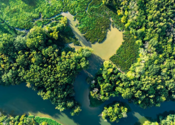 Foto: Pexels/Kelly Lacy