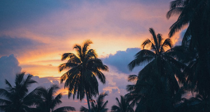 Pentingnya Cagar Biosfer untuk Lestarikan Lingkungan