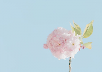 Nabi Muhammad Sudah Dikenal sebagai Orang yang Amanah bahkan sebelum Menjadi Rasul