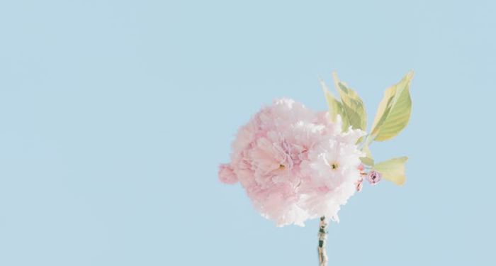 Nabi Muhammad Sudah Dikenal sebagai Orang yang Amanah bahkan sebelum Menjadi Rasul