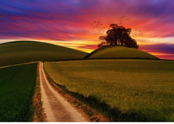 Tingkatan Manusia dalam Menghadapi Cobaan