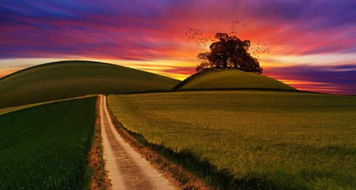 Tingkatan Manusia dalam Menghadapi Cobaan