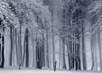 Miliki Sifat Taghaful agar Hidup Lebih Tenang