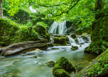 Tafsir Surat Yasin Ayat 76