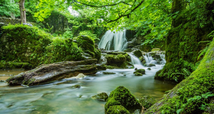 Tafsir Surat Yasin Ayat 76