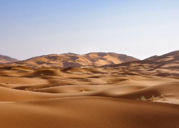 Abdullah bin Umar, Pengikut Setia Rasulullah Saw.