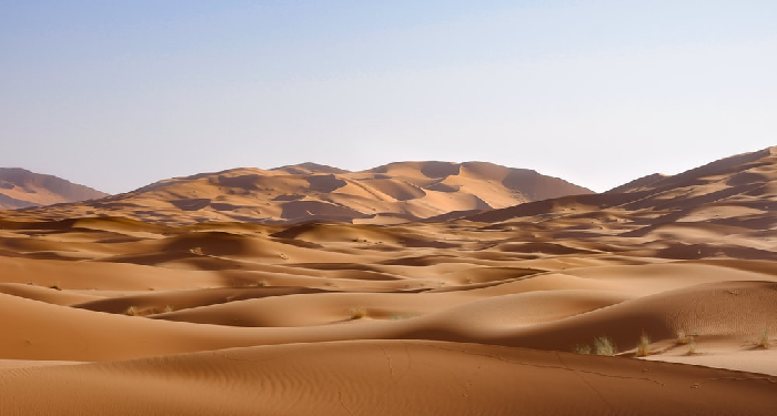 Abdullah bin Umar, Pengikut Setia Rasulullah Saw.