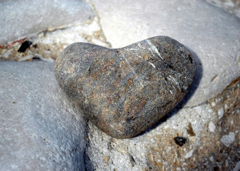 10 Tanda Hati Yang Keras