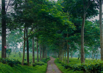 Pengejar Maut, Barra' bin Malik