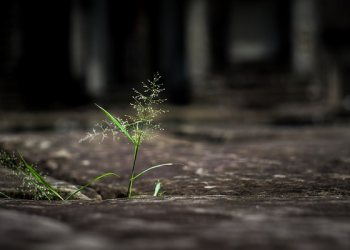 Keraguan Itu Jalan Keyakinan Abu Sufyan Bin Harits