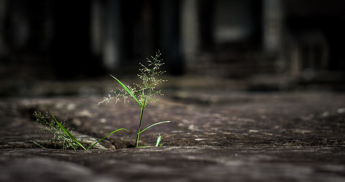 Keraguan Itu Jalan Keyakinan Abu Sufyan Bin Harits