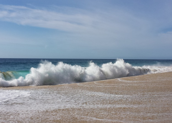 Kehati-hatian Abdullah bin Umar Dalam Berfatwa dan Jabatan