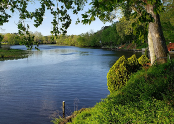 Masuk Islamnya Abu Sufyan bin Harits, Sepupu Rasulullah