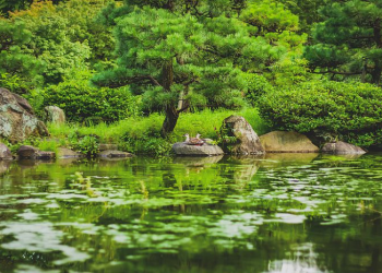 Akhir Hidup Sosok Abdullah bin Umar
