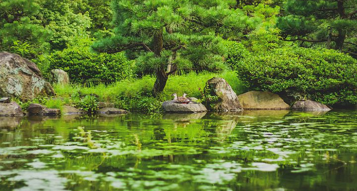 Akhir Hidup Sosok Abdullah bin Umar