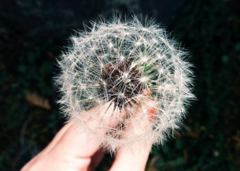 Kenali Rhinitis Alergi Pada Anak