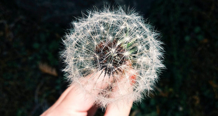 Kenali Rhinitis Alergi Pada Anak