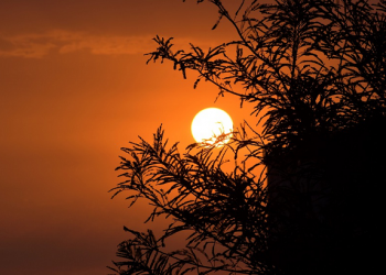 Sejauh Mana Kamu Memahami Rukun Islam? (1)