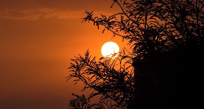 Sejauh Mana Kamu Memahami Rukun Islam? (1)