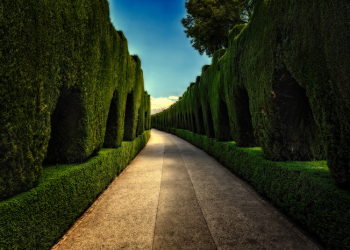 Barra' bin Malik, Telah Tiba Masanya