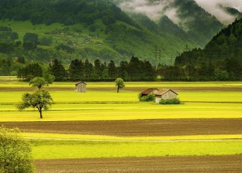 Hukum Menjual dan Memindahkan Tanah Wakaf