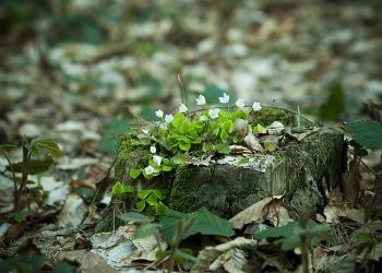 Jauhi Sifat Mudah Tersinggung
