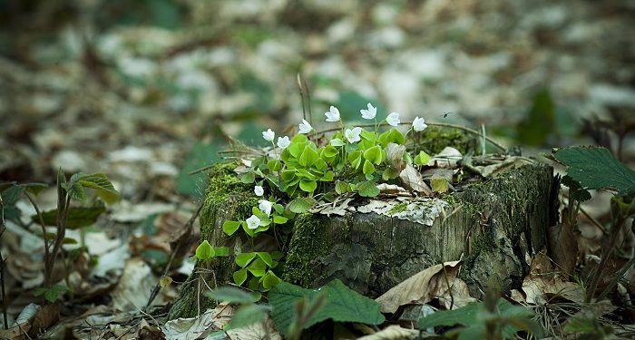Jauhi Sifat Mudah Tersinggung