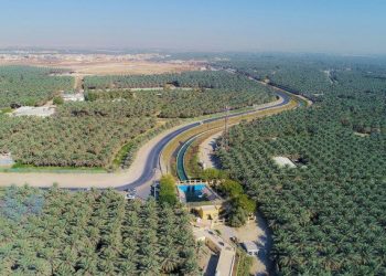 Hadapi Ancaman Perubahan Iklim, Arab Saudi Perkuat Bank Genetik Kurma