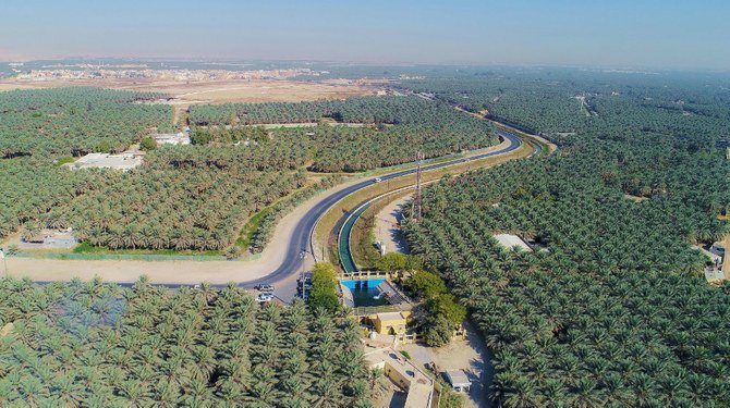 Hadapi Ancaman Perubahan Iklim, Arab Saudi Perkuat Bank Genetik Kurma