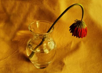 Momen-momen rentan hubungan suami istri