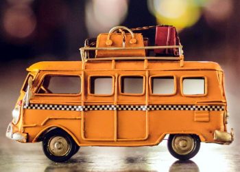 Pulang Kampung Alami