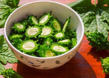 5 Manfaat Pare untuk Kecantikan Kulit dan Rambut