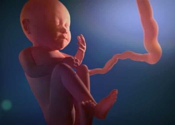 Pentingnya Mendekatkan Janin dengan Al-Qur'an