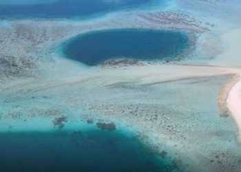 Ditemukan Lubang Biru langka di Perairan Wilayah al-Dhafra Abu Dhabi